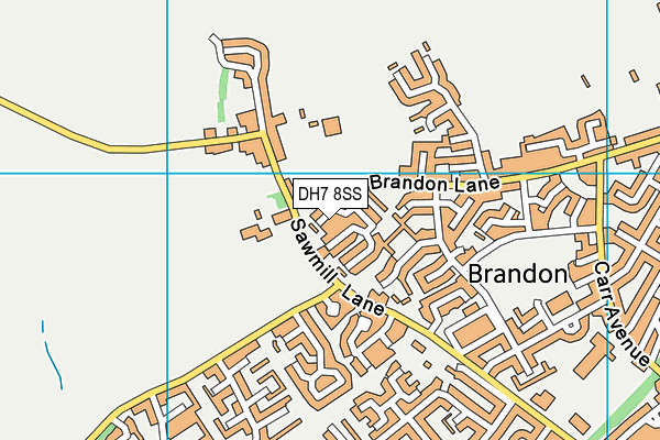 DH7 8SS map - OS VectorMap District (Ordnance Survey)