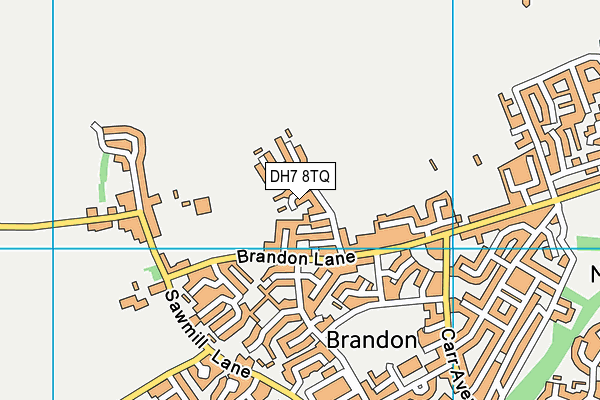 DH7 8TQ map - OS VectorMap District (Ordnance Survey)
