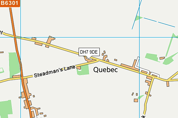 DH7 9DE map - OS VectorMap District (Ordnance Survey)