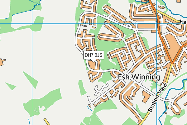 DH7 9JS map - OS VectorMap District (Ordnance Survey)