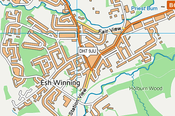 DH7 9JU map - OS VectorMap District (Ordnance Survey)