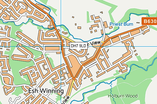 DH7 9LD map - OS VectorMap District (Ordnance Survey)