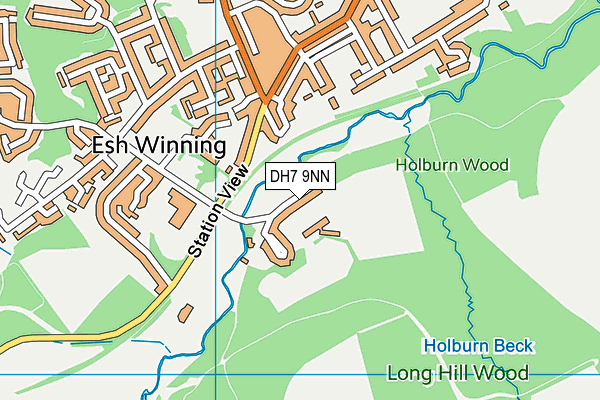 DH7 9NN map - OS VectorMap District (Ordnance Survey)