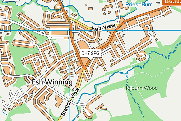 DH7 9PG map - OS VectorMap District (Ordnance Survey)