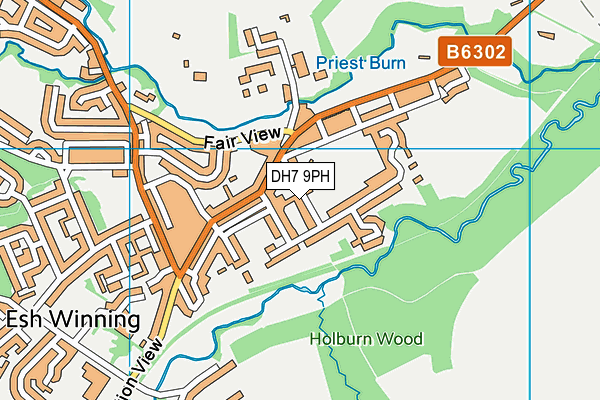 Esh Winning Recreation Ground map (DH7 9PH) - OS VectorMap District (Ordnance Survey)