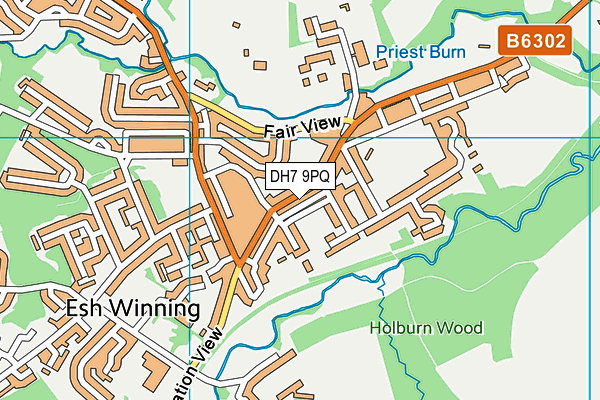 DH7 9PQ map - OS VectorMap District (Ordnance Survey)