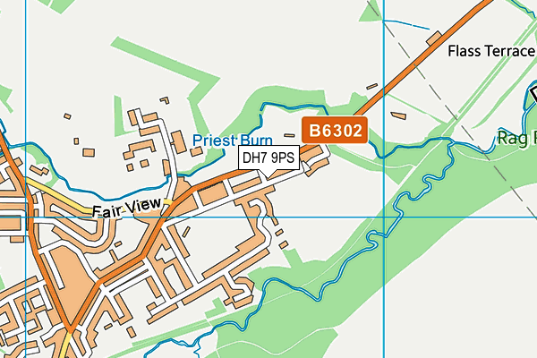 DH7 9PS map - OS VectorMap District (Ordnance Survey)