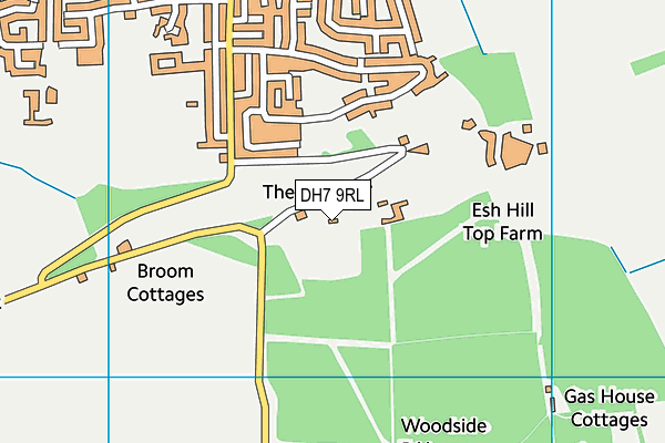 DH7 9RL map - OS VectorMap District (Ordnance Survey)