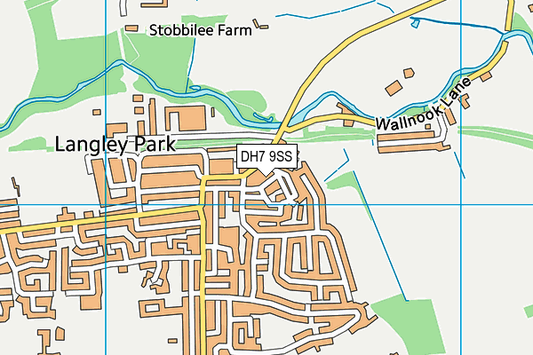 DH7 9SS map - OS VectorMap District (Ordnance Survey)