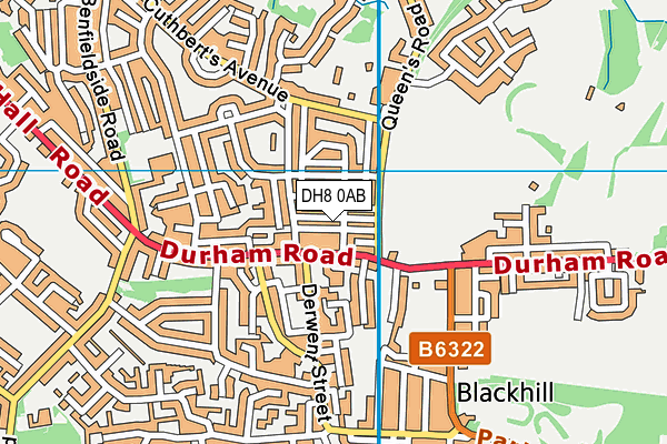 DH8 0AB map - OS VectorMap District (Ordnance Survey)