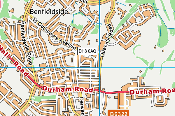 DH8 0AQ map - OS VectorMap District (Ordnance Survey)