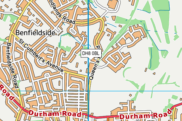 DH8 0BL map - OS VectorMap District (Ordnance Survey)