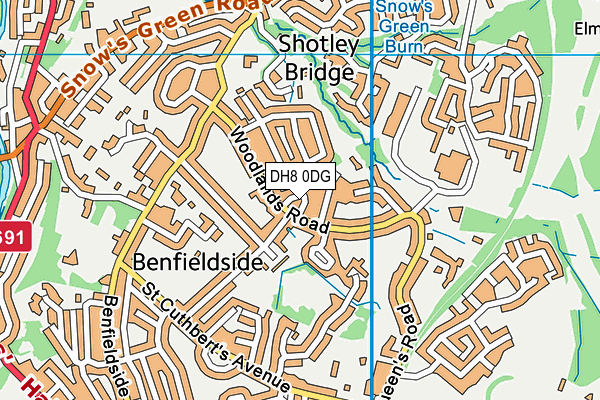 DH8 0DG map - OS VectorMap District (Ordnance Survey)