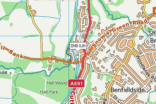 DH8 0JH map - OS VectorMap District (Ordnance Survey)