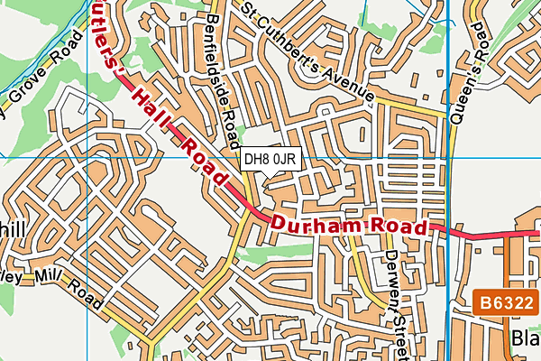 DH8 0JR map - OS VectorMap District (Ordnance Survey)