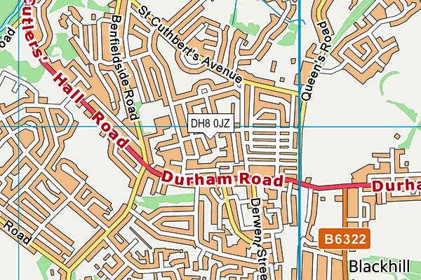 DH8 0JZ map - OS VectorMap District (Ordnance Survey)