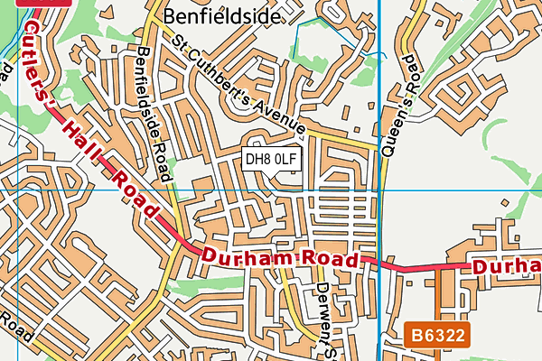 DH8 0LF map - OS VectorMap District (Ordnance Survey)