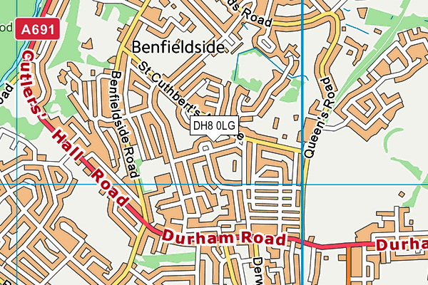 DH8 0LG map - OS VectorMap District (Ordnance Survey)