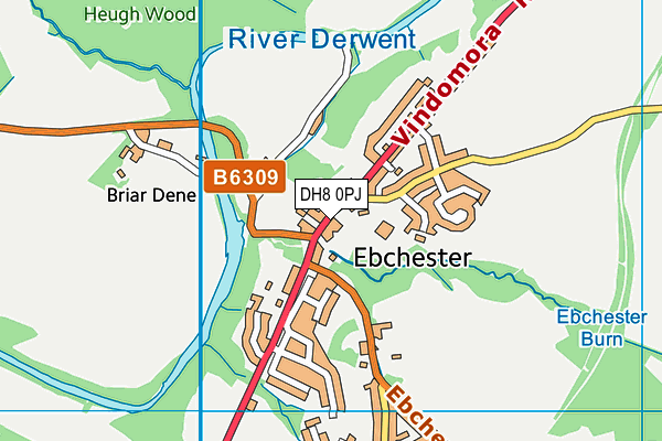 DH8 0PJ map - OS VectorMap District (Ordnance Survey)
