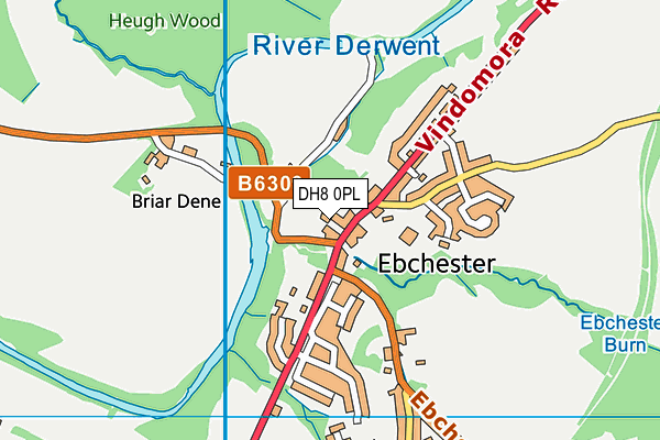 DH8 0PL map - OS VectorMap District (Ordnance Survey)