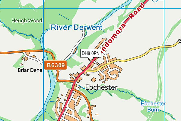 DH8 0PN map - OS VectorMap District (Ordnance Survey)