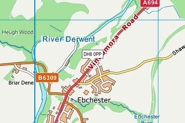 DH8 0PP map - OS VectorMap District (Ordnance Survey)