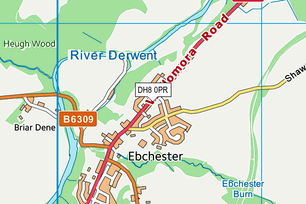 DH8 0PR map - OS VectorMap District (Ordnance Survey)