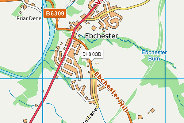 DH8 0QD map - OS VectorMap District (Ordnance Survey)