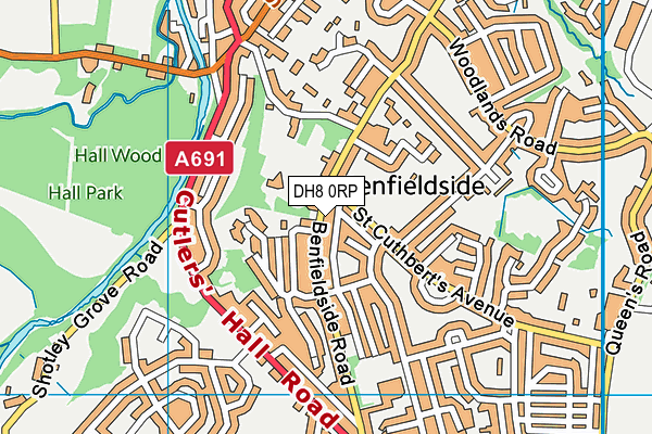 DH8 0RP map - OS VectorMap District (Ordnance Survey)