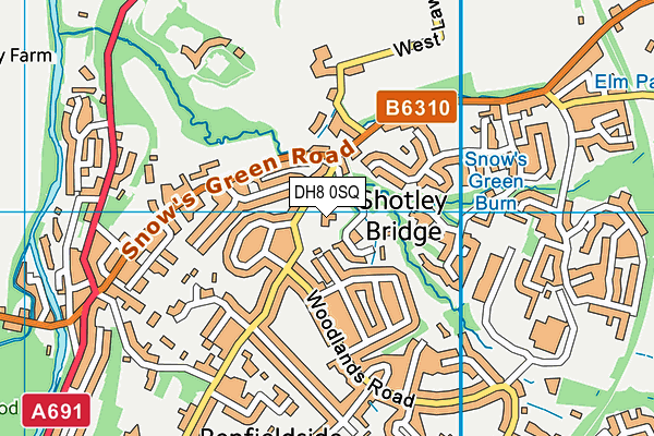 Shotley Bridge Primary School map (DH8 0SQ) - OS VectorMap District (Ordnance Survey)