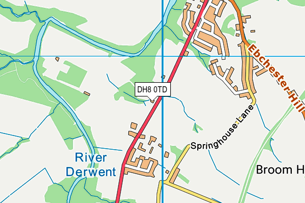 DH8 0TD map - OS VectorMap District (Ordnance Survey)