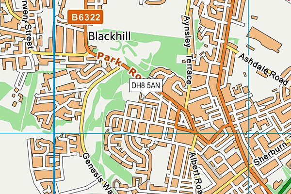 DH8 5AN map - OS VectorMap District (Ordnance Survey)