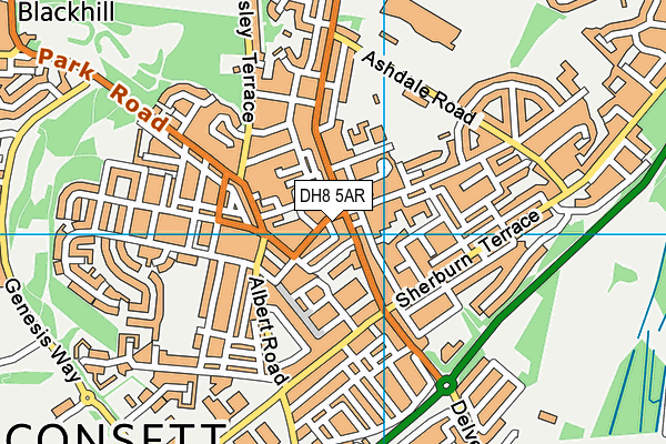 DH8 5AR map - OS VectorMap District (Ordnance Survey)