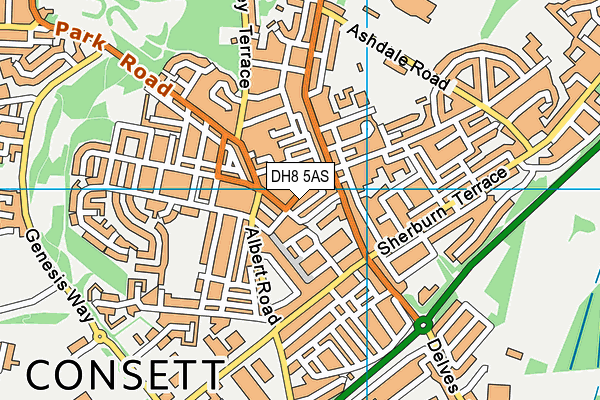 DH8 5AS map - OS VectorMap District (Ordnance Survey)