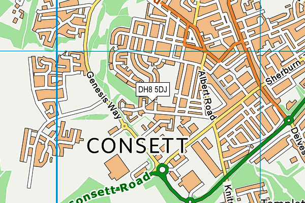 DH8 5DJ map - OS VectorMap District (Ordnance Survey)