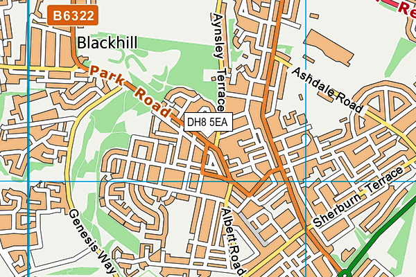 DH8 5EA map - OS VectorMap District (Ordnance Survey)