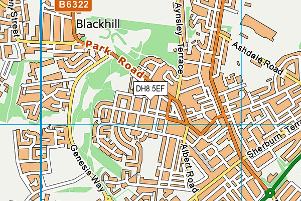 DH8 5EF map - OS VectorMap District (Ordnance Survey)