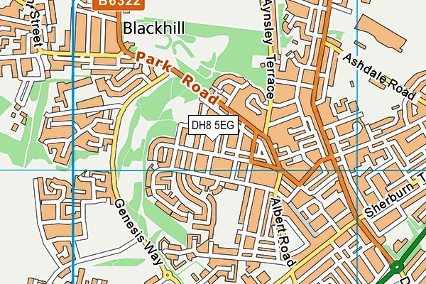 DH8 5EG map - OS VectorMap District (Ordnance Survey)