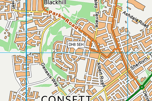 DH8 5EH map - OS VectorMap District (Ordnance Survey)