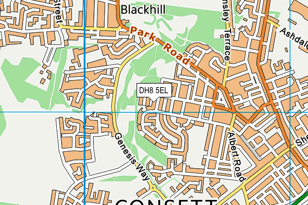 DH8 5EL map - OS VectorMap District (Ordnance Survey)