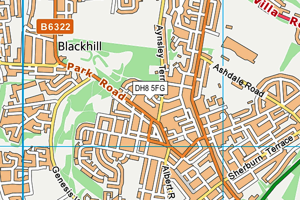 DH8 5FG map - OS VectorMap District (Ordnance Survey)