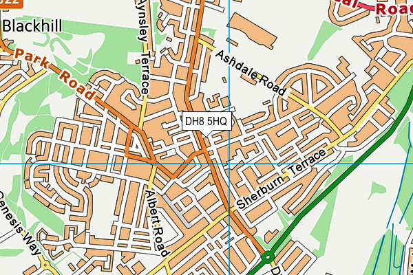 DH8 5HQ map - OS VectorMap District (Ordnance Survey)