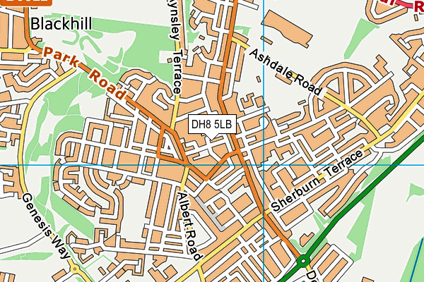 DH8 5LB map - OS VectorMap District (Ordnance Survey)