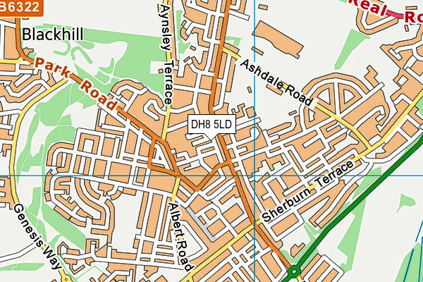 DH8 5LD map - OS VectorMap District (Ordnance Survey)