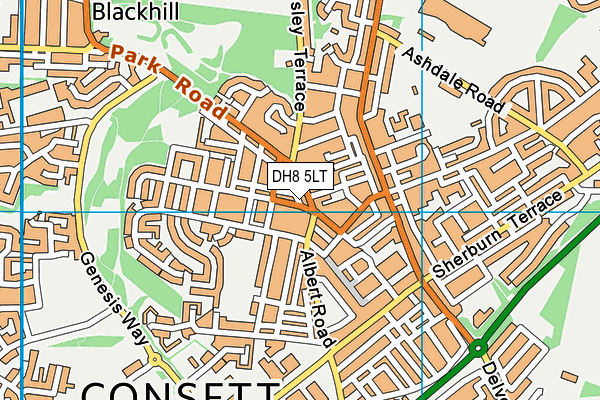 DH8 5LT map - OS VectorMap District (Ordnance Survey)