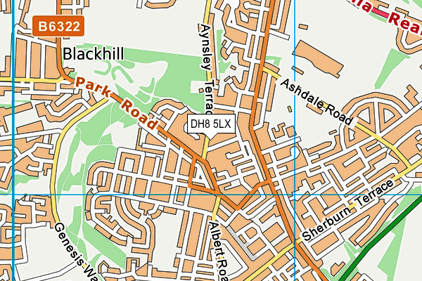 DH8 5LX map - OS VectorMap District (Ordnance Survey)