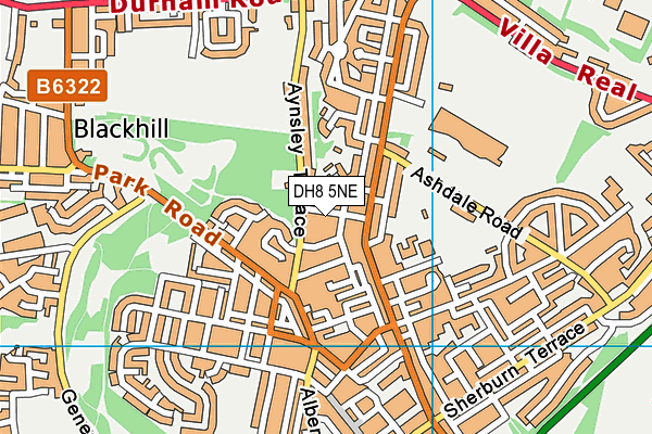 DH8 5NE map - OS VectorMap District (Ordnance Survey)