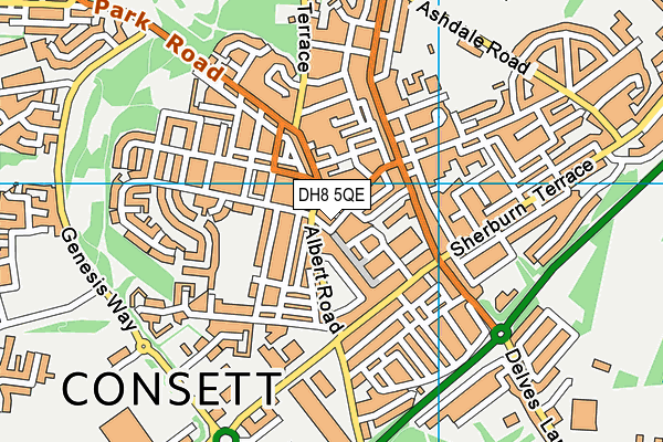 DH8 5QE map - OS VectorMap District (Ordnance Survey)