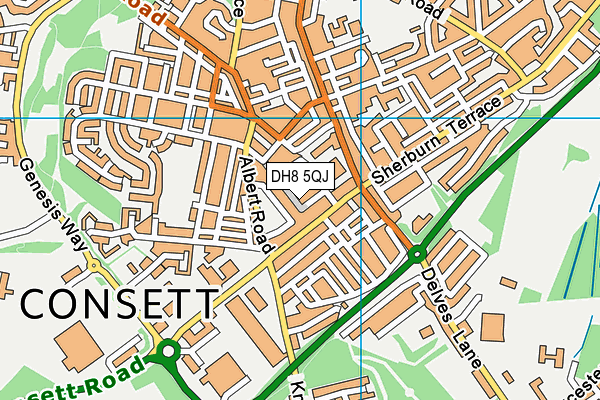 DH8 5QJ map - OS VectorMap District (Ordnance Survey)