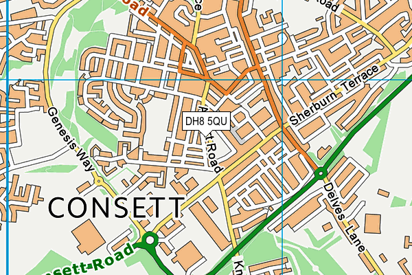 DH8 5QU map - OS VectorMap District (Ordnance Survey)